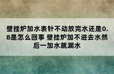 壁挂炉加水表针不动放完水还是0.8是怎么回事 壁挂炉加不进去水然后一加水就漏水